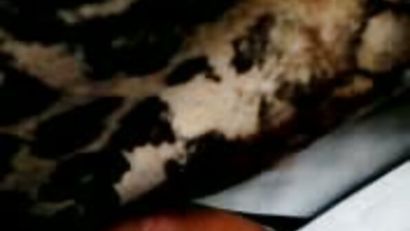 কোমল প্রাণী হার্ড পেটানোর পর তার পায়ে ঘোড়া চুদা কাম পায়
